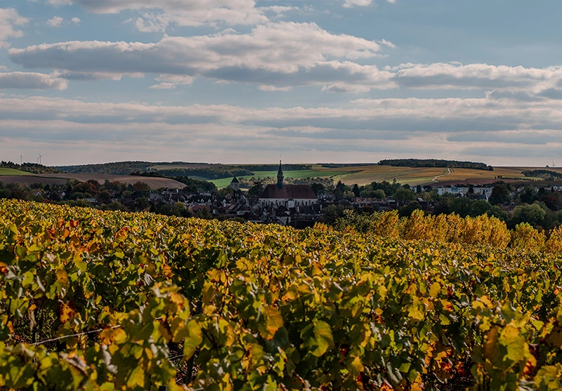 Les merveilles naturelles à explorer